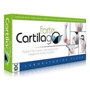 Cartilagor Forte 40 Capsulas | Tegor - Dietetica Ferrer