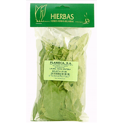 Laurel Hoja Entera | Plameca - Dietetica Ferrer