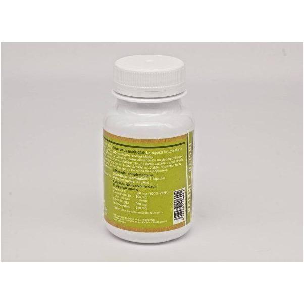 Reishi 500 mg 90 Capsulas | Sotya - Dietetica Ferrer