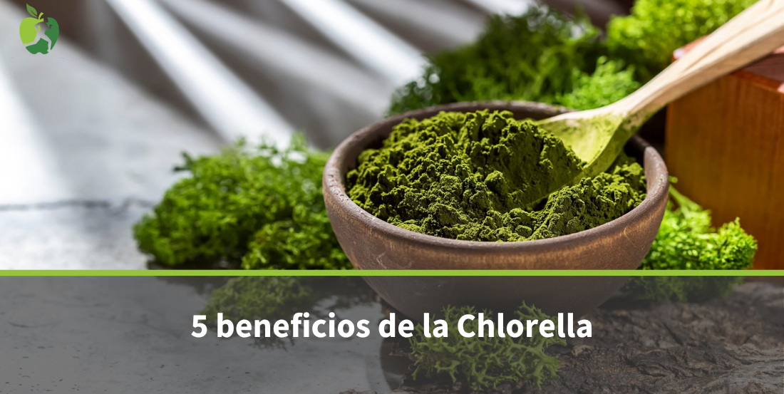 5 beneficios de la Chlorella