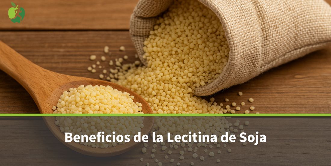 Lecitina de Soja: qué es, propiedades y beneficios