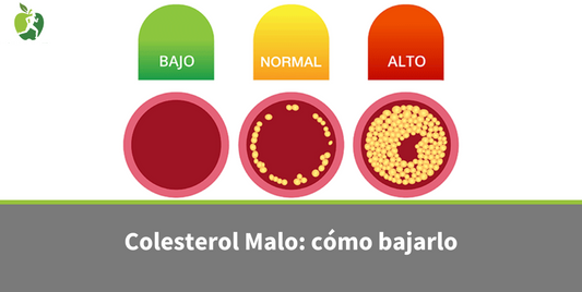 Colesterol Malo (LDL): Qué Es y Cómo Reducirlo