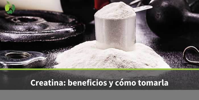 Creatina: o que é, benefícios e como tomar e em que quantidade