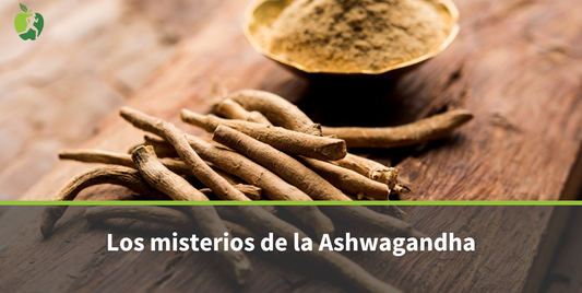 Beneficios de la Ashwagandha: todo lo que debes saber