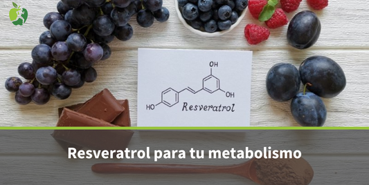 Resveratrol como suplemento