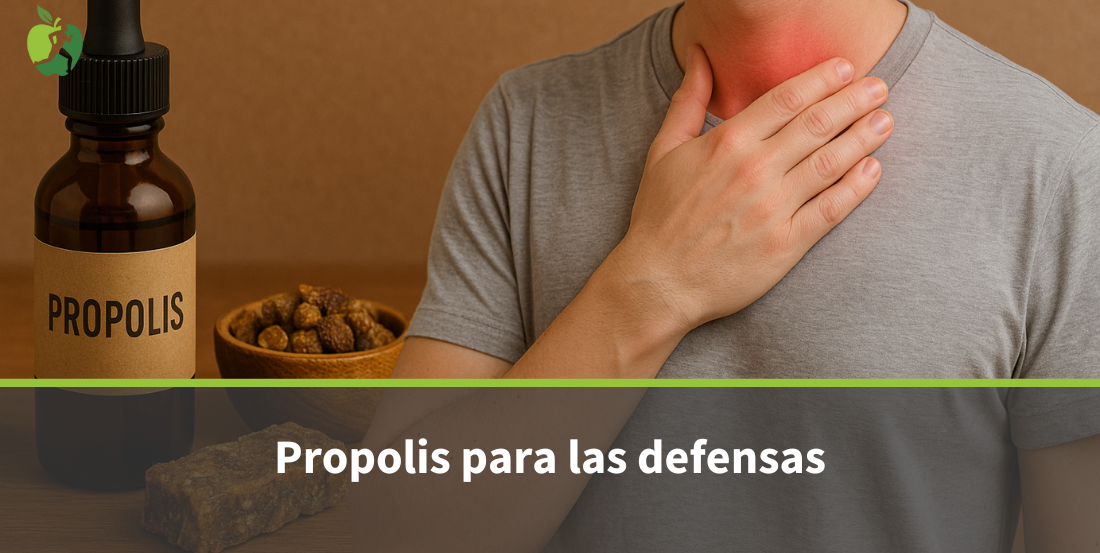 Própolis: Qué Es, Para Qué Sirve y Beneficios