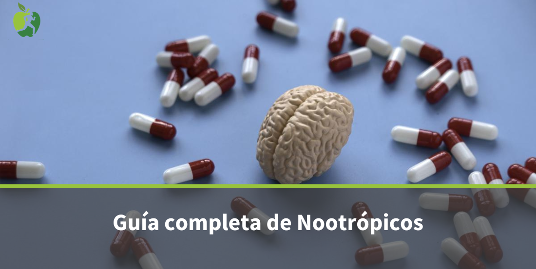 Nootrópicos: guía completa para entenderlos y elegir el adecuado