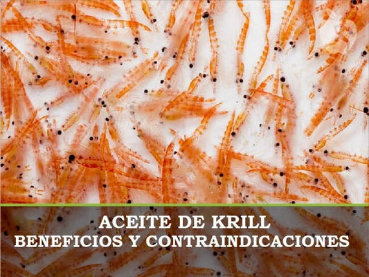 Aceite de Krill conoce sus Beneficios y contraindicaciones