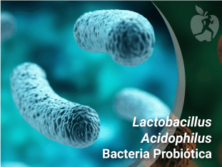 Acidophilus Ultra para qué sirve