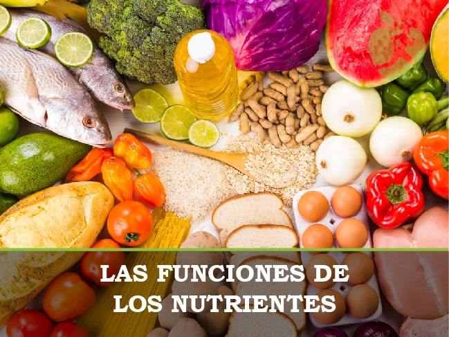 ¿Cuáles son las funciones de los nutrientes?