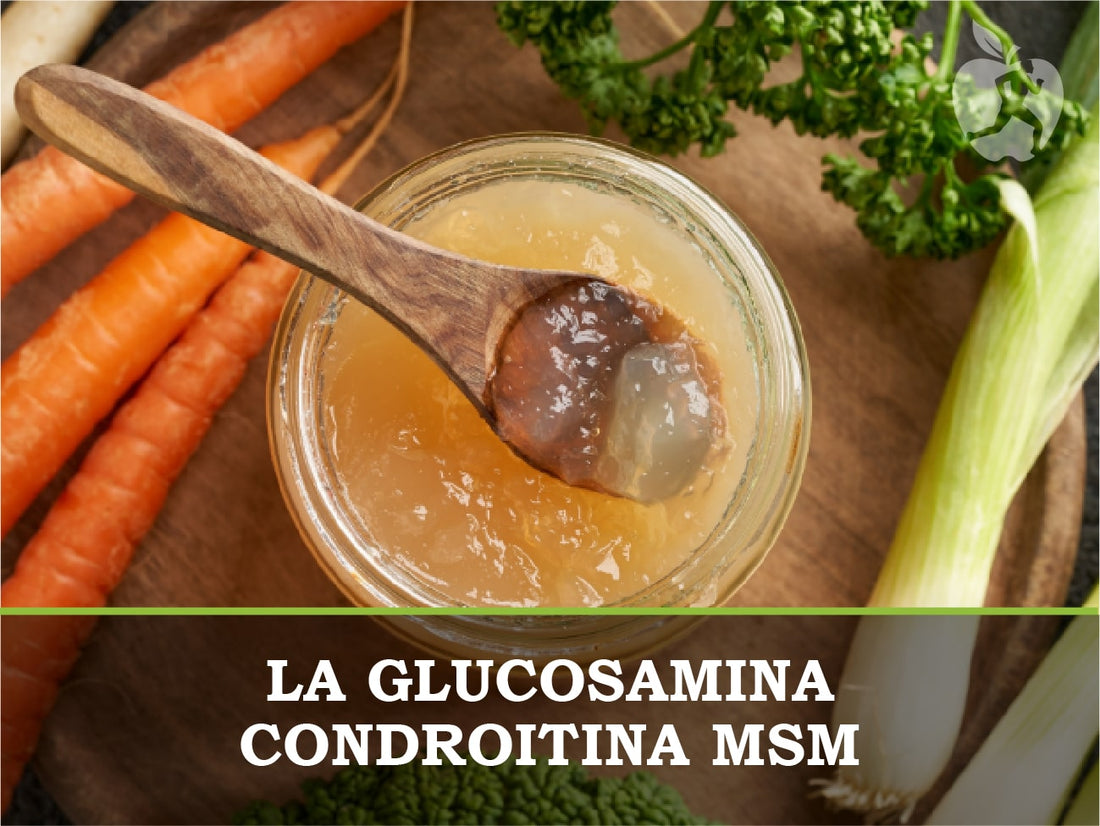 Glucosamina condroitina y MSM: tres grandes aliados para tus articulaciones