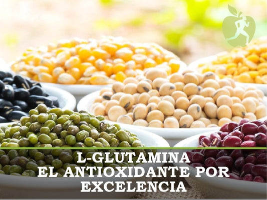 L-Glutamina: para qué sirve y beneficios