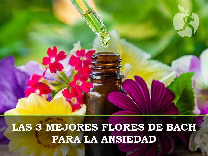 Las 3 mejores Flores de Bach para la ansiedad
