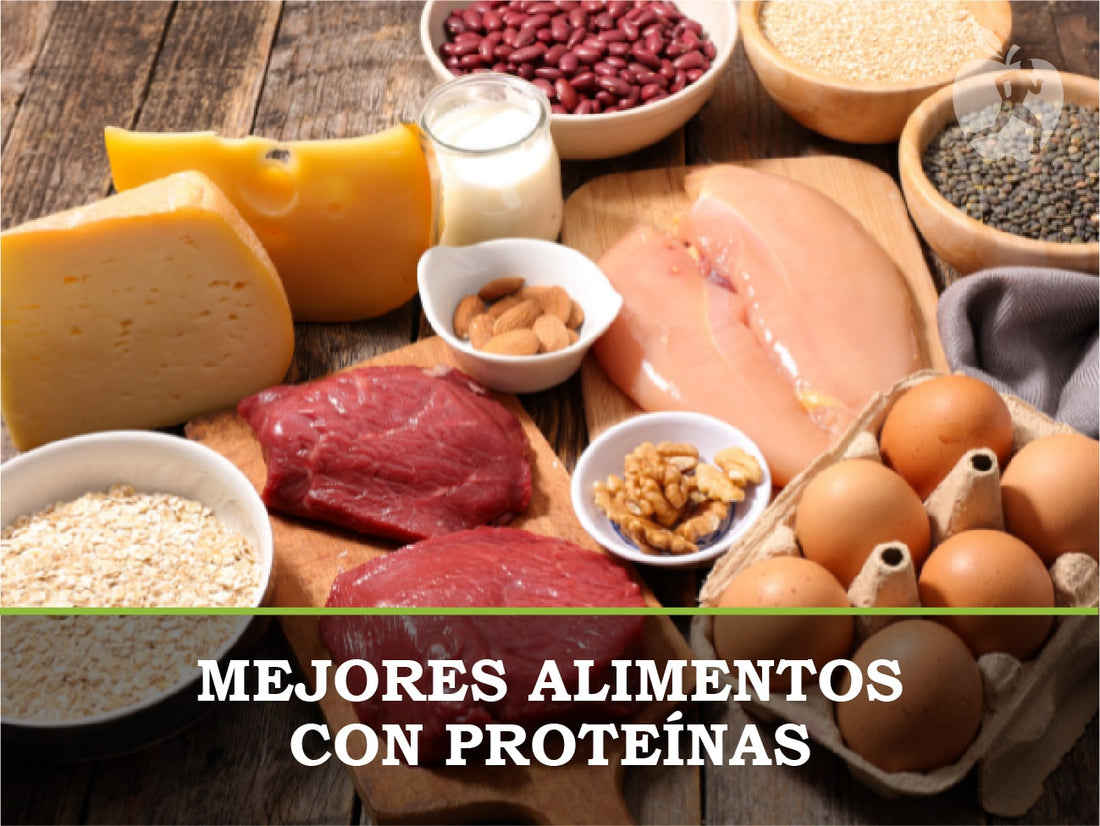 Mejores alimentos con proteínas