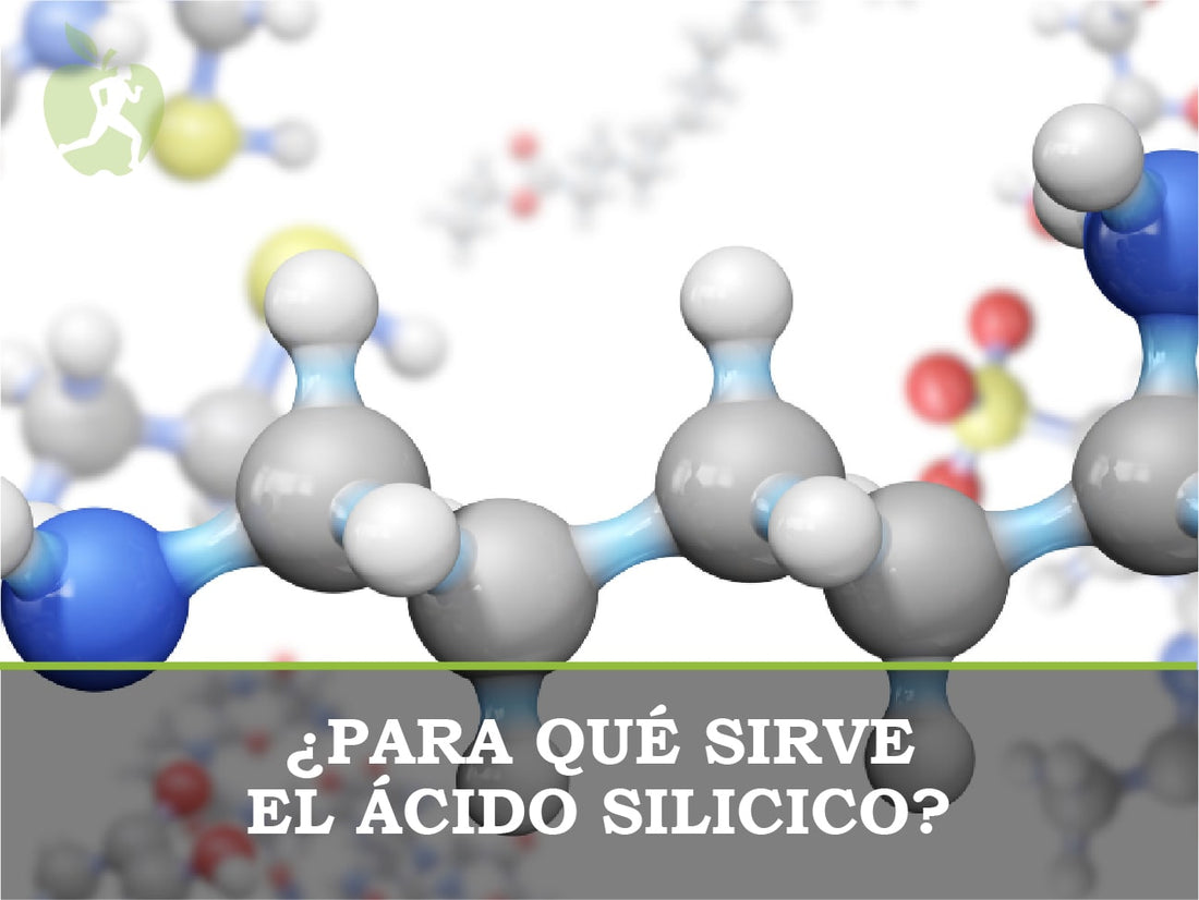 ¿Para qué sirve el ácido silícico?