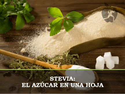 ¿Para qué sirve la Stevia? Beneficios y Propiedades