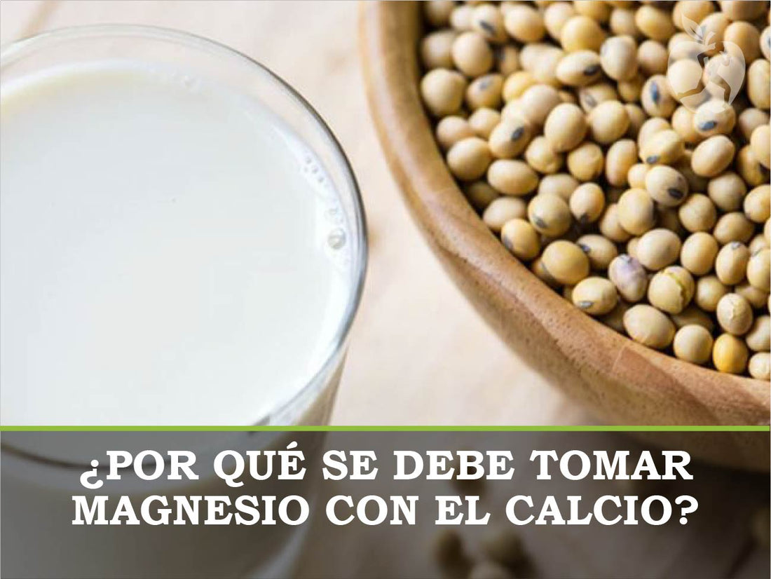 ¿Por qué se debe tomar magnesio con el calcio?