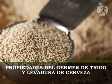 Propiedades del germen de trigo y Levadura de cerveza