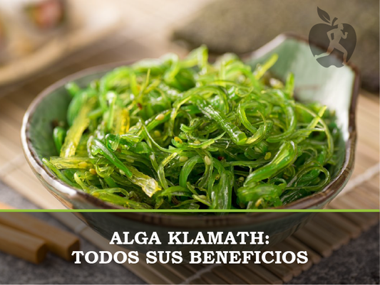 ¿Qué es y para qué sirve el Alga Klamath? Beneficios y Propiedades