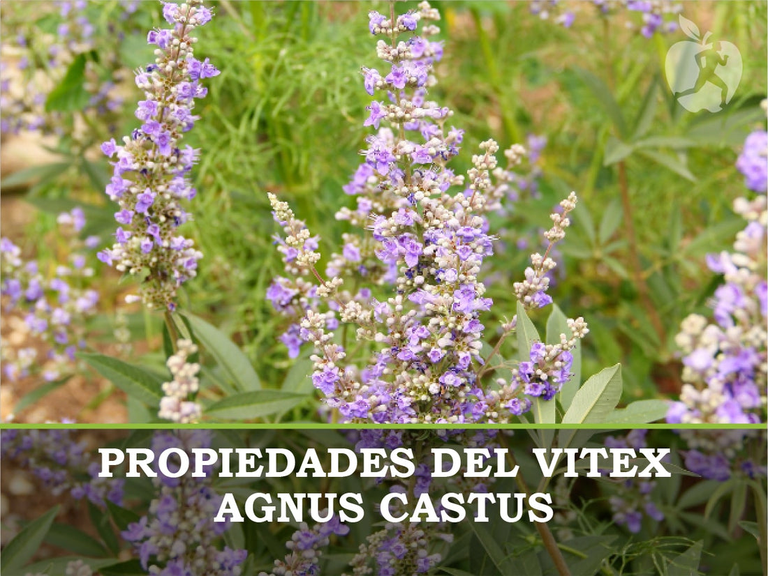 Vitex agnus para los desórdenes hormonales