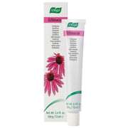 Creme dental Dentaforce Echinacea 100 gr | Um Vogel