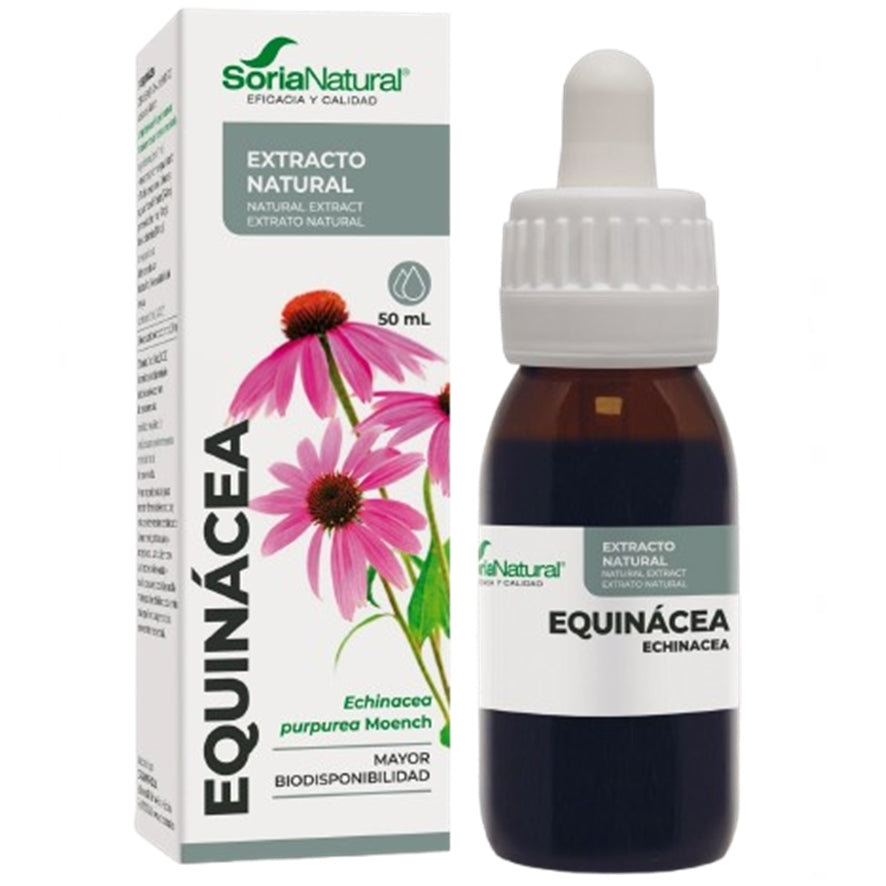Extracto de Equinacea Siglo XXI 50 ml | Soria Natural