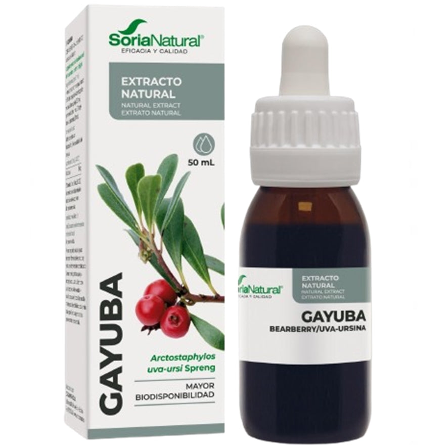Extracto de Gayuba Siglo XXI 50 ml | Soria Natural - Dietetica Ferrer