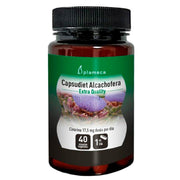 Capsudiet Alcahofera 40 Capsulas | Plameca - Dietetica Ferrer