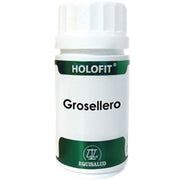 Holofit Grosellero 60 Cápsulas | Equisalud - Dietetica Ferrer