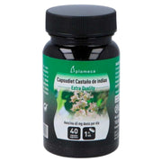 Capsudiet Castaño de Indias 40 Capsulas | Plameca - Dietetica Ferrer