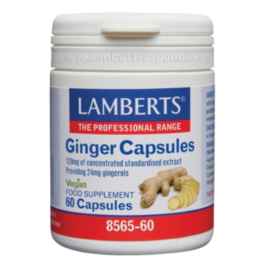 Jengibre 60 Capsulas | Lamberts - Dietetica Ferrer