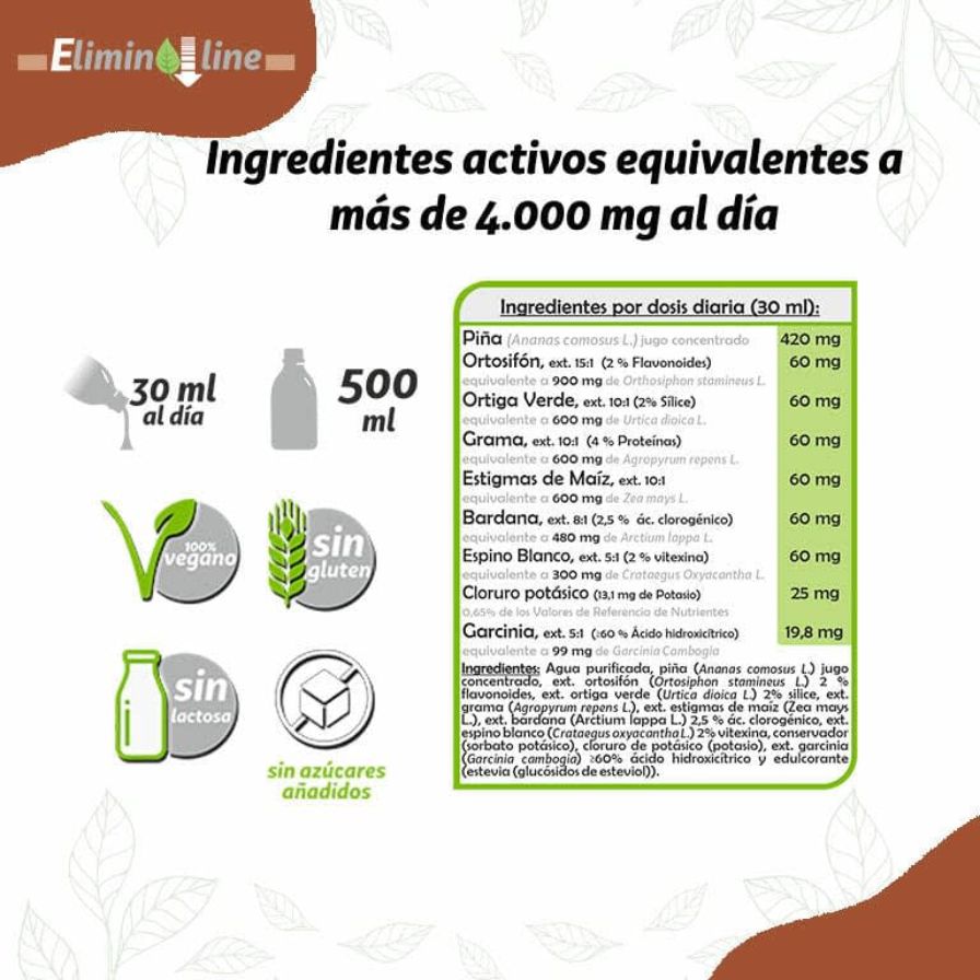 Fito Diur 500 ml | Pinisan - Dietetica Ferrer