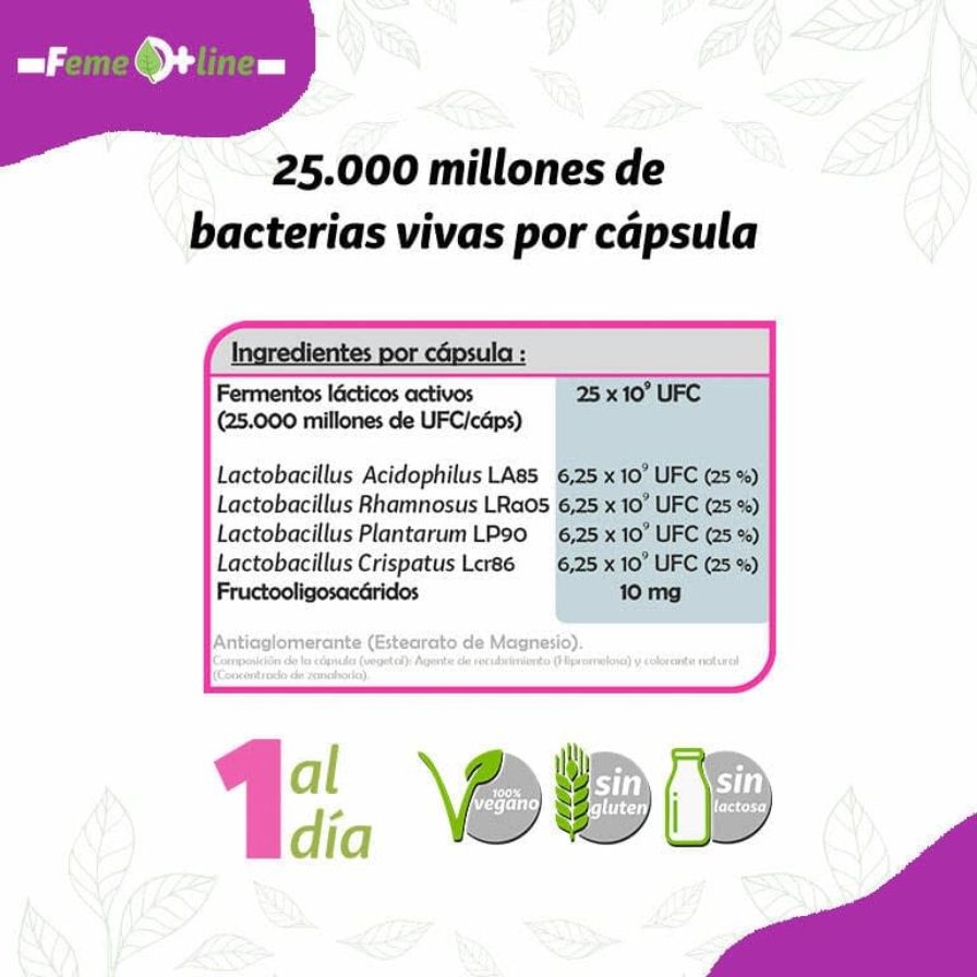 Intimflora 20 cápsulas | Pinisan - Dietetica Ferrer