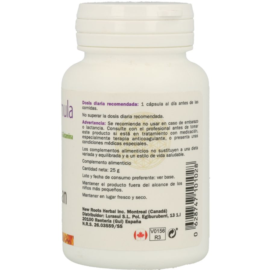 Ginkgo Formula 30 Capsulas | Sura Vitasan