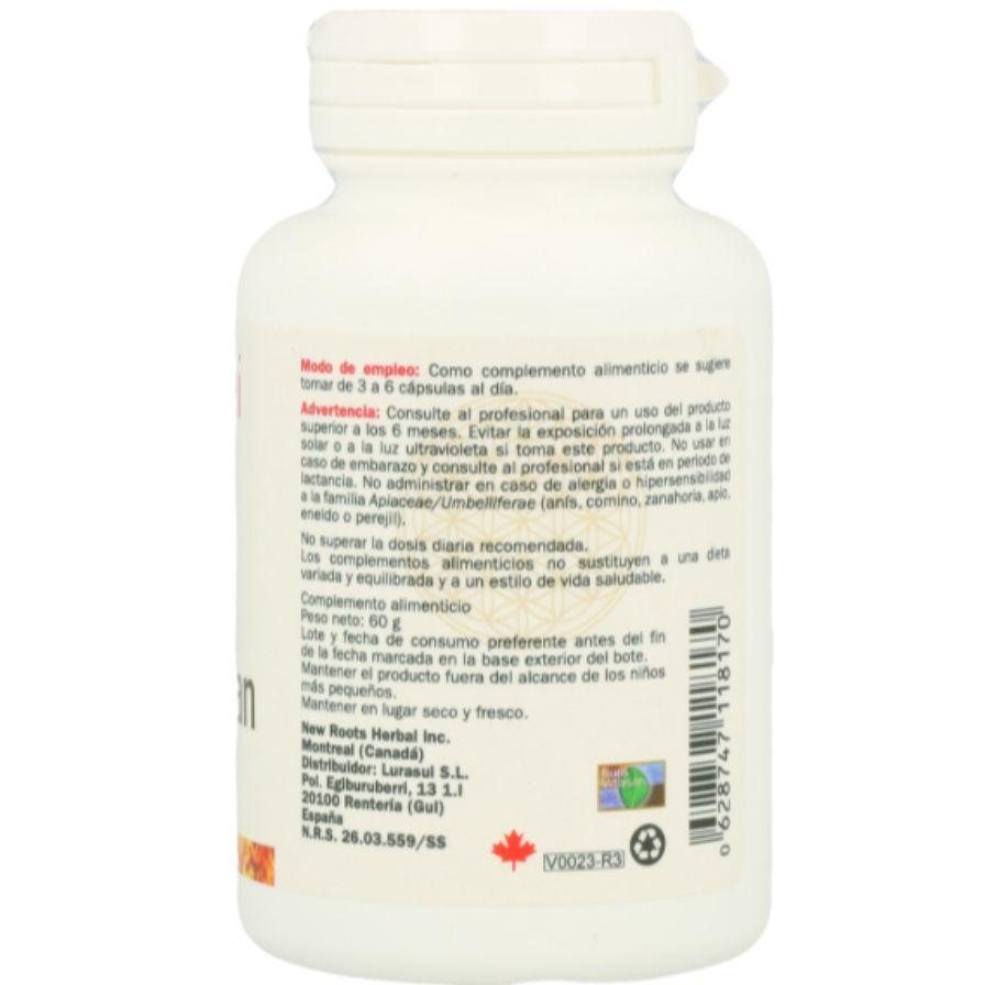 Dong Quai 100 Capsulas | Sura Vitasan