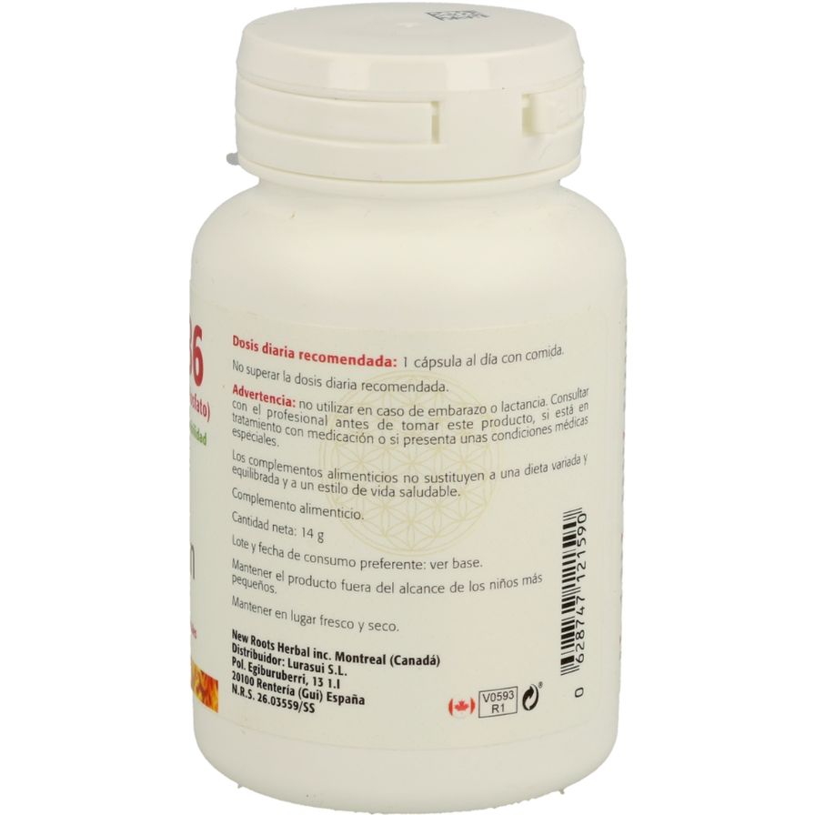 Vitamina B6 60 Capsulas | Sura Vitasan