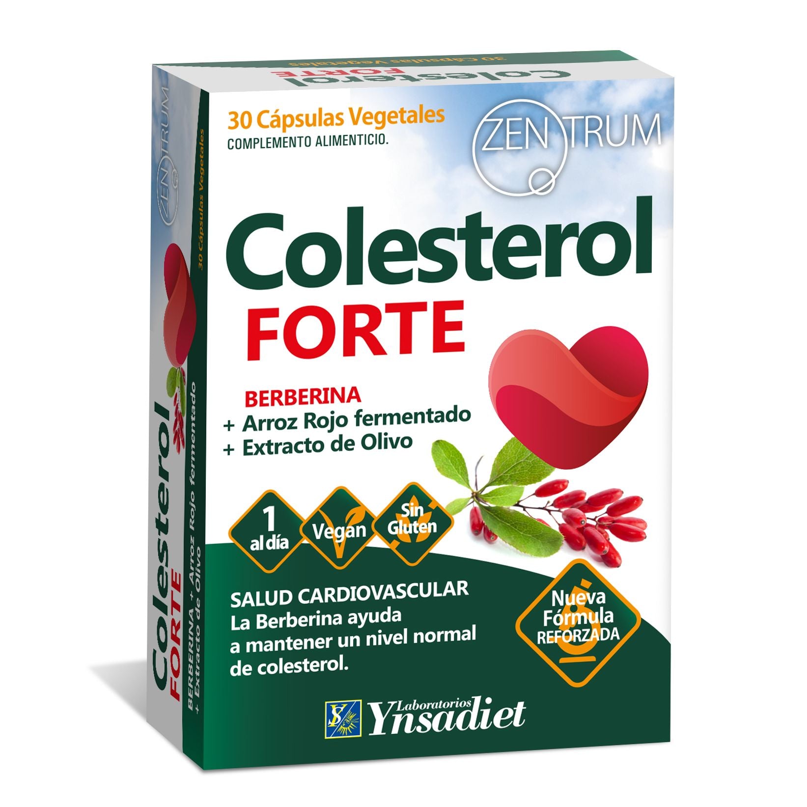 Colesterol Forte 30 cápsulas | Ynsadiet - Dietetica Ferrer