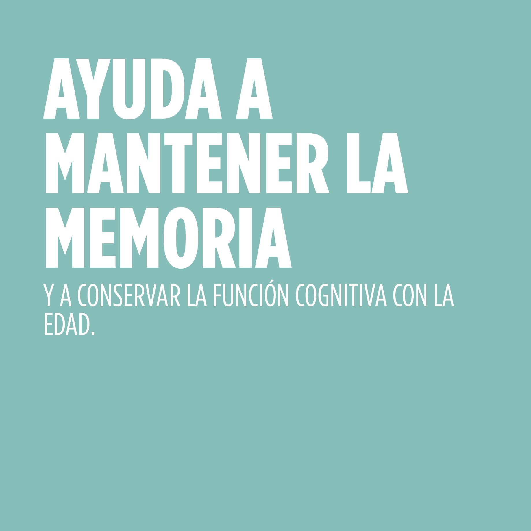 Ginkoro Cogniben 90 Comprimidos | Eladiet - Dietetica Ferrer