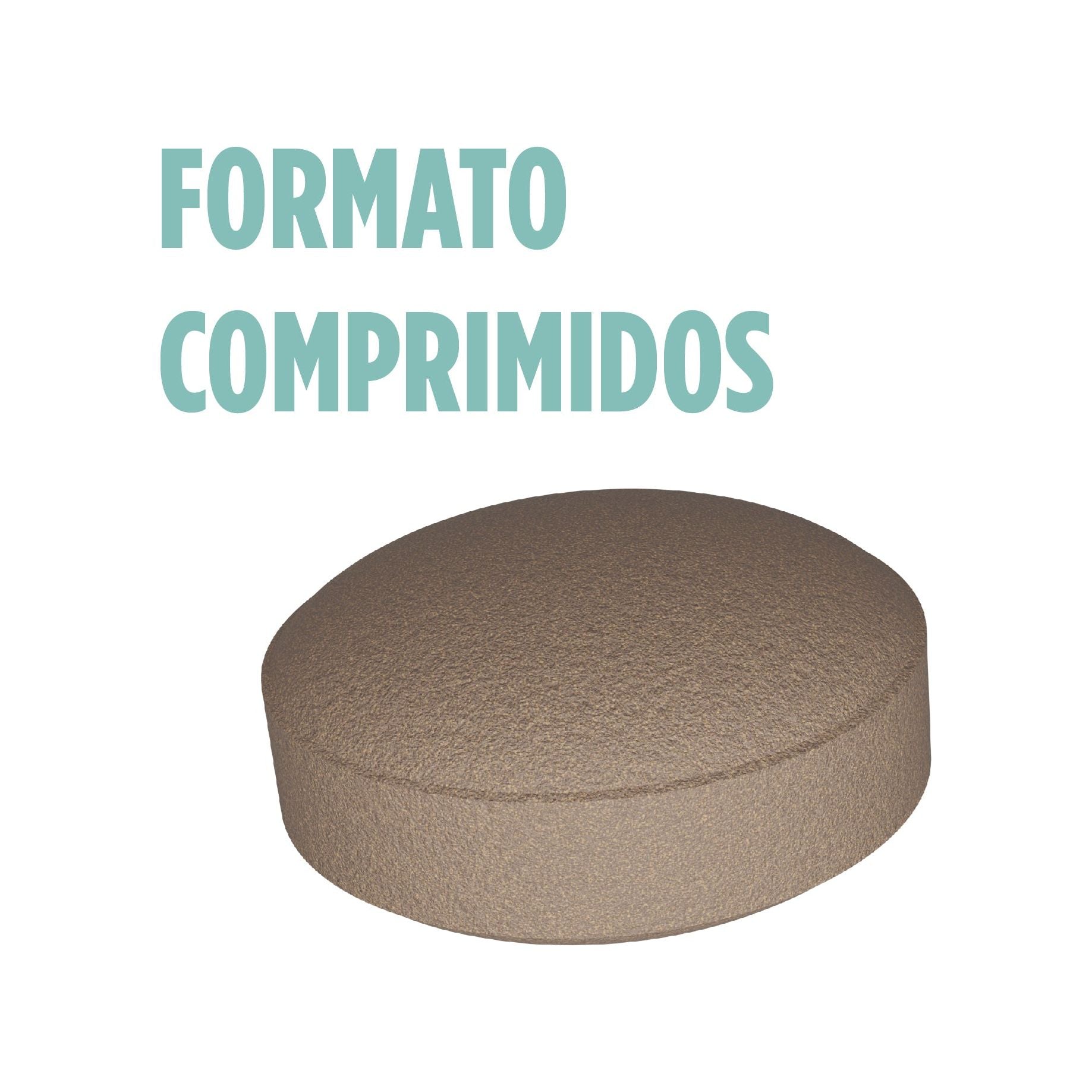 Ginkoro Cogniben 90 Comprimidos | Eladiet - Dietetica Ferrer