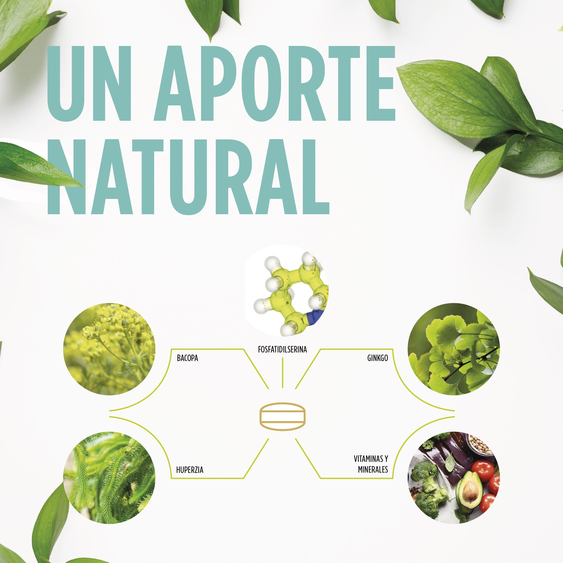 Cogniben Plus 30 Comprimidos | Eladiet - Dietetica Ferrer