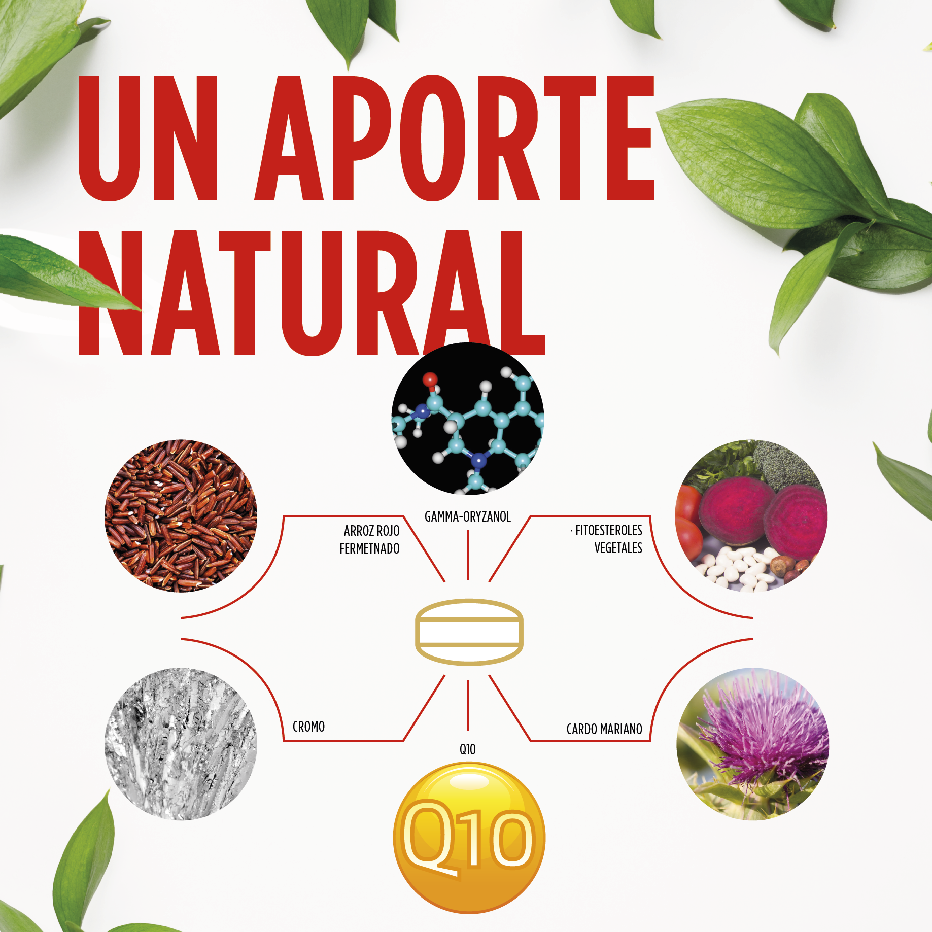 Controlcol 60 Comprimidos | Eladiet - Dietetica Ferrer