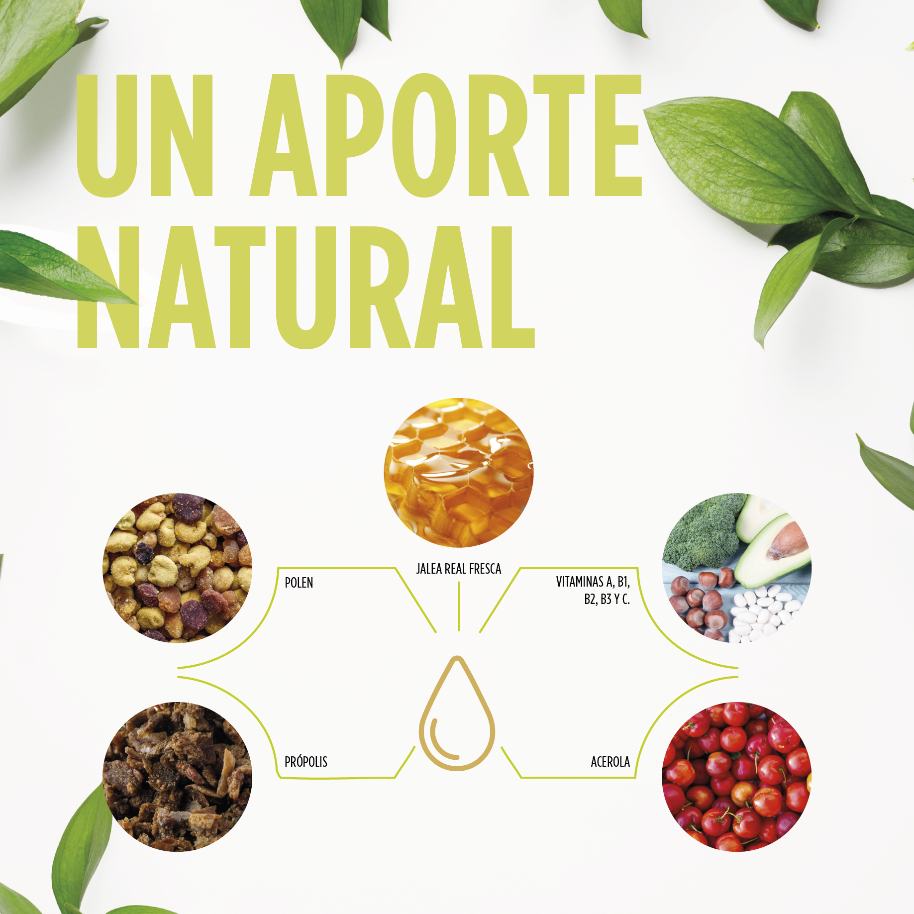 Jelly Kids Prevent Jarabe 250 ml | Eladiet - Dietetica Ferrer