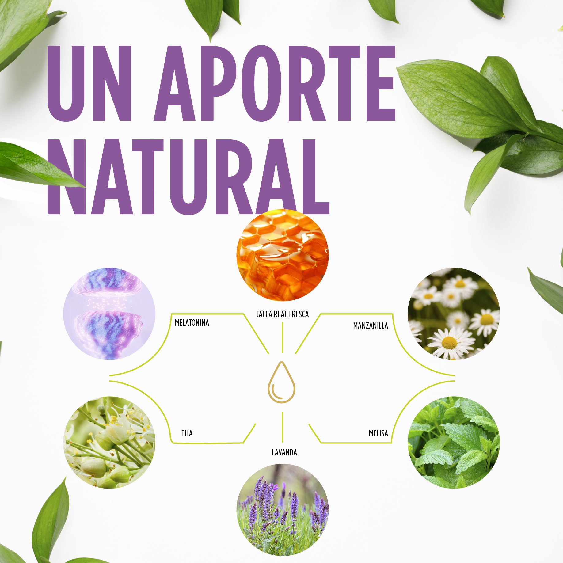 Jelly Kids Dulces Sueños Jarabe 250 ml | Eladiet - Dietetica Ferrer