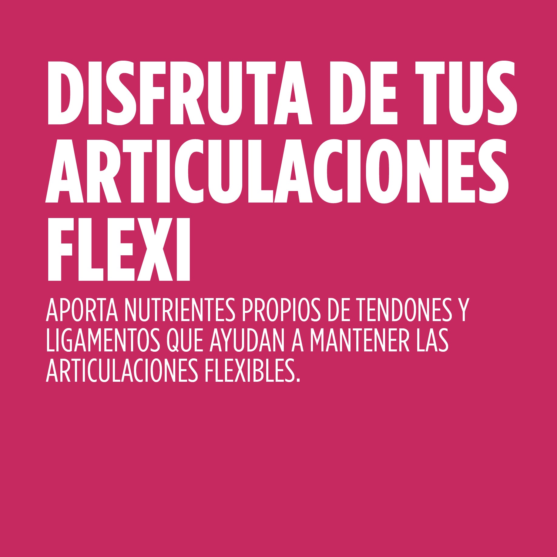 Regendol Flexi 14 Sticks | Eladiet - Dietetica Ferrer