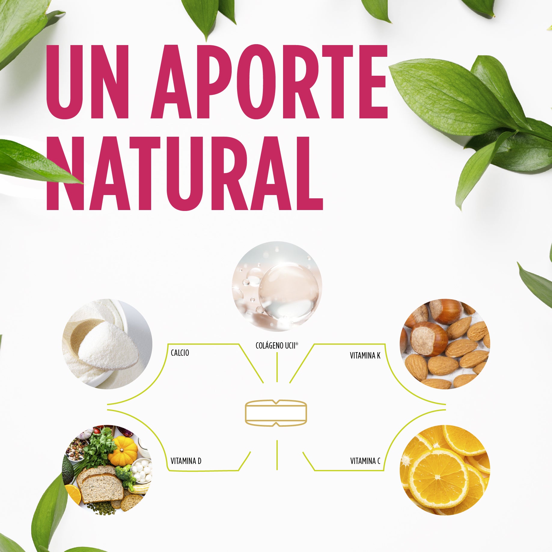 Regendol Colageno UCII 30 Comprimidos | Eladiet - Dietetica Ferrer