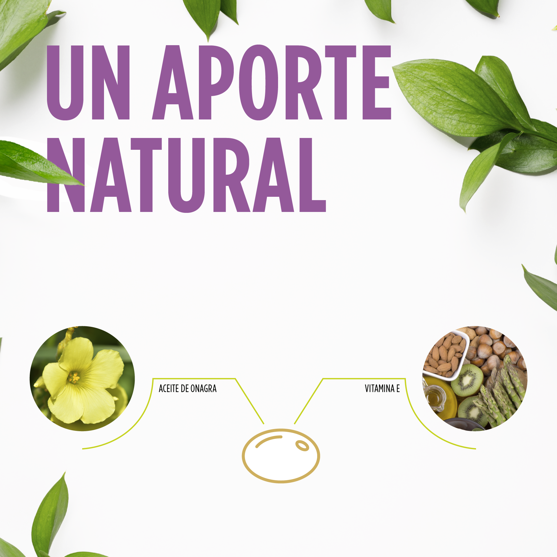 Aceite de Onagra Perlas | Eladiet - Dietetica Ferrer