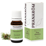 Pino Silvestre 10 Ml | Pranarom