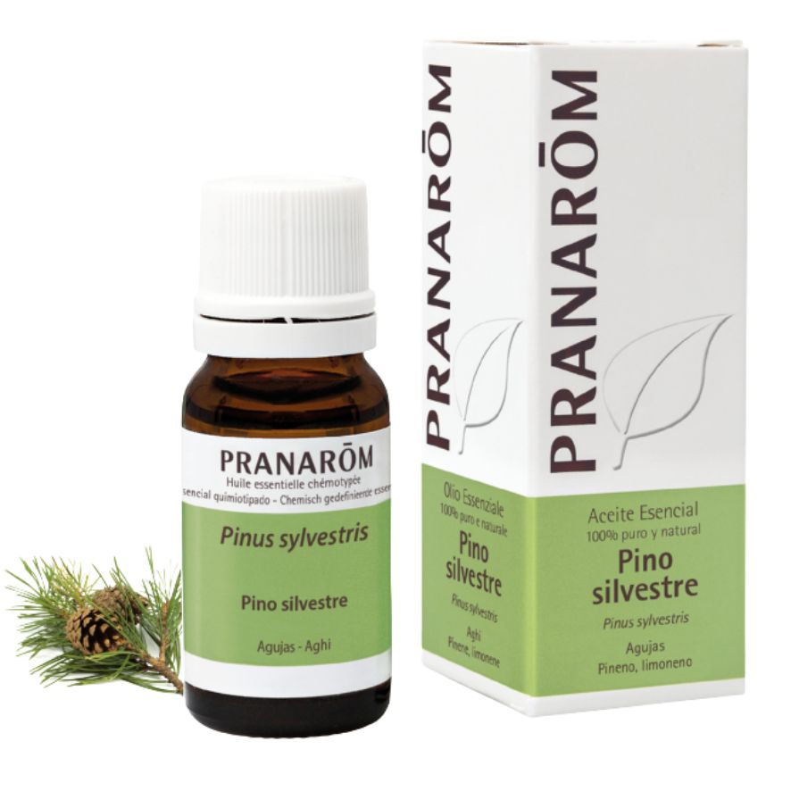 Pino Silvestre 10 Ml | Pranarom
