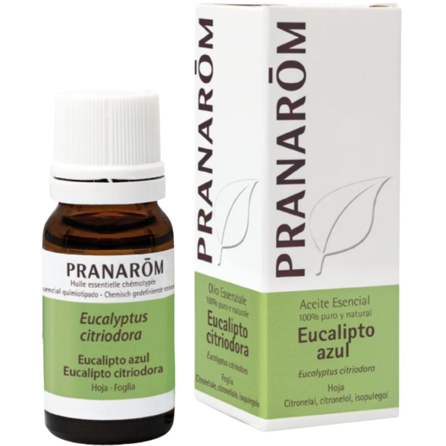 Eucalipto Azul 10 Ml | Pranarom