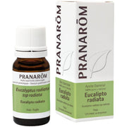 Eucalipto Radiata 10 Ml | Pranarom